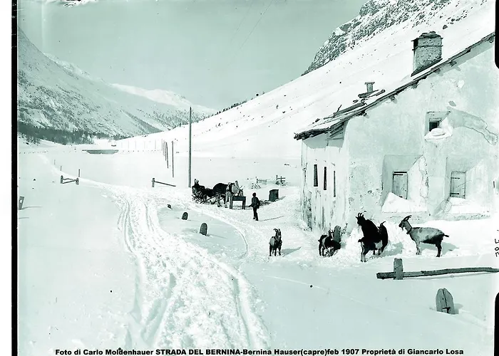 Ξενοδοχείο & Berninahaus Pontresina